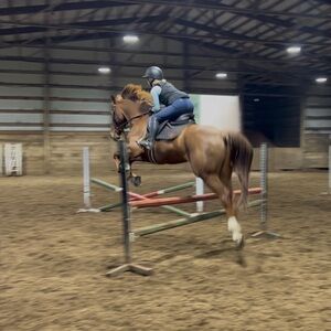 Meet your Posher, Amelia